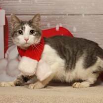 Thumbnail photo of Fiona #1