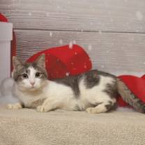 Thumbnail photo of Fiona #3