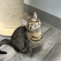 Thumbnail photo of Sam  #3