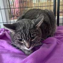 Thumbnail photo of Mylo #2