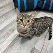 Thumbnail photo of Sam  #4