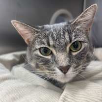 Thumbnail photo of Mylo #4