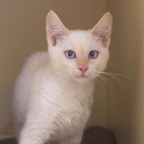 Thumbnail photo of Gordon #4