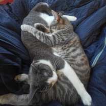 Thumbnail photo of Carl #4