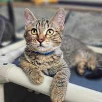 Thumbnail photo of Paul #1