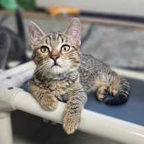 Thumbnail photo of Paul #2