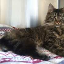 Thumbnail photo of Dean #1