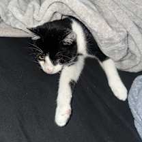 Thumbnail photo of Wink #1