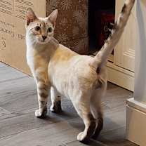 Thumbnail photo of Nolan #3