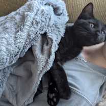 Thumbnail photo of Gable Dyal-RS #4