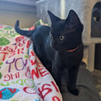 Thumbnail photo of Grant Dyal-RS #3