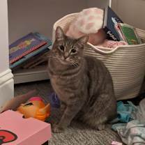 Thumbnail photo of Cole #2