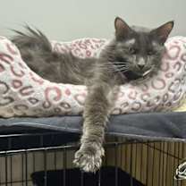 Thumbnail photo of Jack Be Quick #4