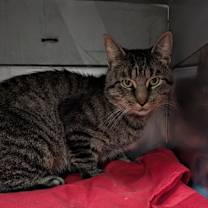 Thumbnail photo of Frontporch25 #3