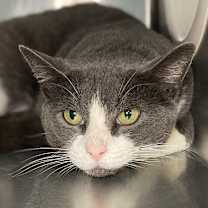 Thumbnail photo of Titan #2