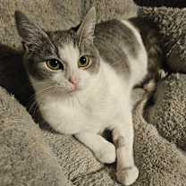 Thumbnail photo of Mrs. Bailey #1