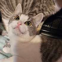 Thumbnail photo of Mrs. Bailey #2