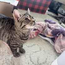 Thumbnail photo of Raisin #3