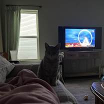 Thumbnail photo of Daisy #4