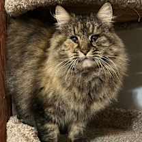 Thumbnail photo of Raya #1