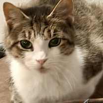 Thumbnail photo of Zuzu #4