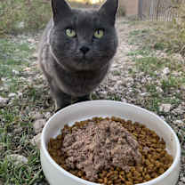 Thumbnail photo of Azshara #3