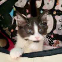 Thumbnail photo of Hope #2