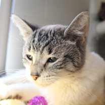 Thumbnail photo of Stormie #3