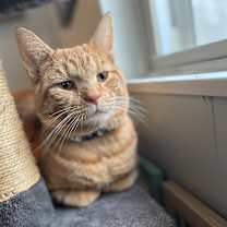 Thumbnail photo of Max #4