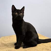 Thumbnail photo of Eddie #1