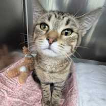 Thumbnail photo of January #1