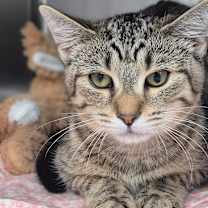 Thumbnail photo of January #2