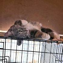 Thumbnail photo of Prince #3