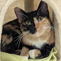 Thumbnail photo of Princess #1