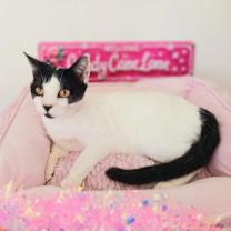 Thumbnail photo of Maddie Brightstar #3