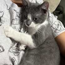 Thumbnail photo of Arthur and Merlin #4