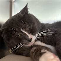 Thumbnail photo of Edward #3