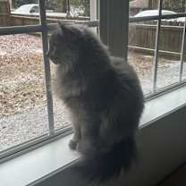 Thumbnail photo of August #2