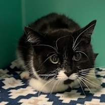 Thumbnail photo of Minnie #3