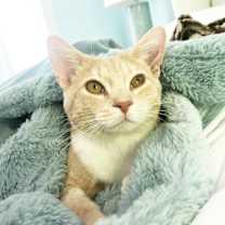 Thumbnail photo of Winston #1