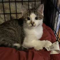 Thumbnail photo of Swiftie #4