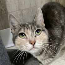 Thumbnail photo of Yuna #1