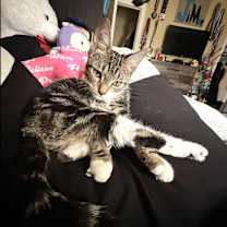 Thumbnail photo of Saint #3