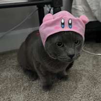 Thumbnail photo of Queso #3