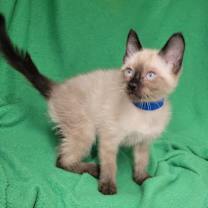 Thumbnail photo of Max #3