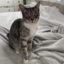 Thumbnail photo of Marley #1