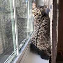 Thumbnail photo of Marley #3