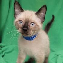 Thumbnail photo of Max #1