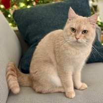 Thumbnail photo of Wynonna #2