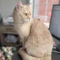 Thumbnail photo of Wynonna #3